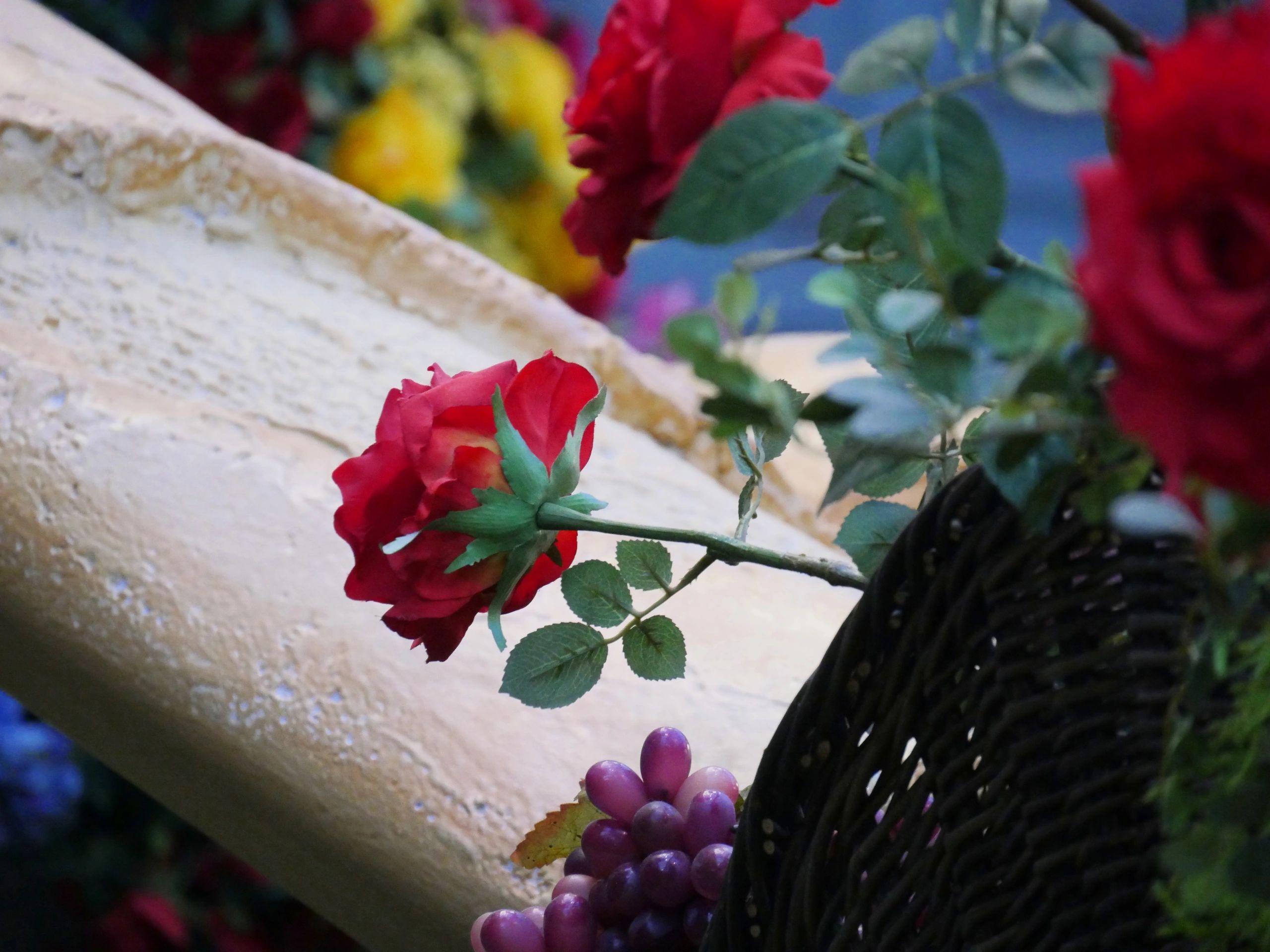 Closeup photos of flowers